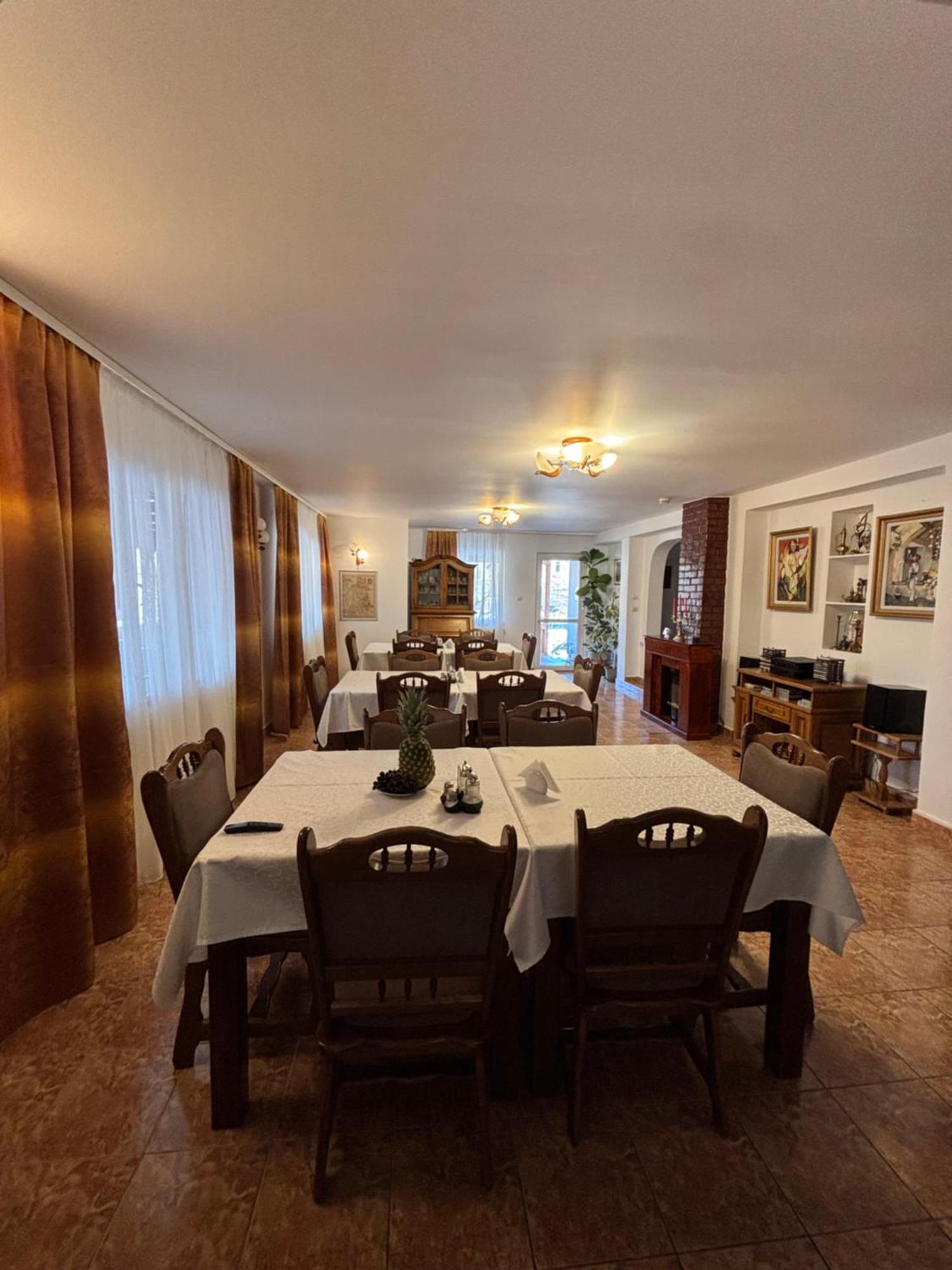 Pensiunea Casa-Stefanel Sadová Extérieur photo