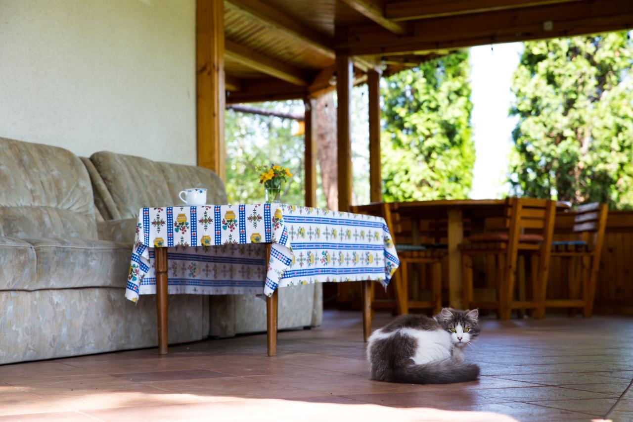 Pensiunea Casa-Stefanel Sadová Extérieur photo